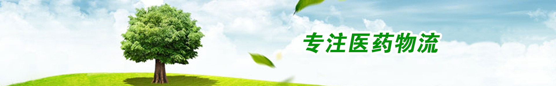 走进华欣